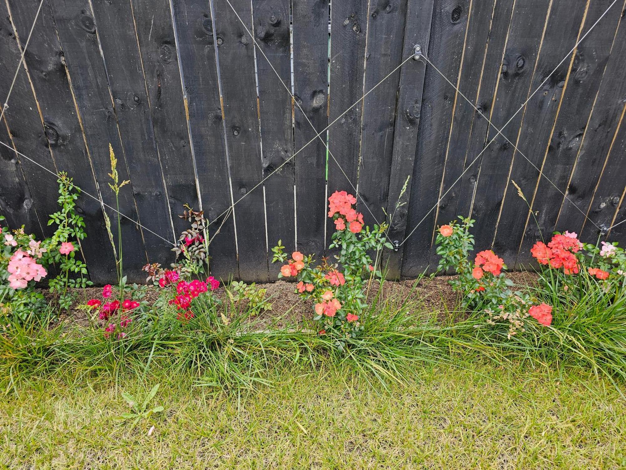 Tui Nest Garden Unit Apartment Silverdale Exterior foto